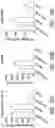 Fig. 56 - Compounds and methods for inhibiting phosphate transport