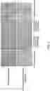 Fig. 10 - POLYPEPTIDE AND COMPOSITION THEREOF FOR TREATING DISEASES OF METABOLIC SYSTEM