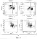 Fig. 19 - Methods and compositions for TUSC2 immunotherapy