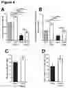 Fig. 05 - METHOD OF STIMULATING ASYMMETRIC DIVISION OF SATELLITE STEM CELLS