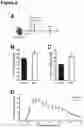 Fig. 06 - METHOD OF STIMULATING ASYMMETRIC DIVISION OF SATELLITE STEM CELLS