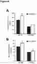 Fig. 09 - METHOD OF STIMULATING ASYMMETRIC DIVISION OF SATELLITE STEM CELLS