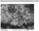Fig. 01 - Microparticles