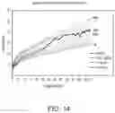 Fig. 15 - METHODS FOR REDUCING LIVER FIBROSIS AND TREATING LYSOSOMAL ACID LIPASE DEFICIENCY IN PATIENTS BASED ON ISHAK FIBROSIS STAGE