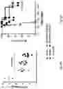 Fig. 04 - Compositions and methods for treating an active infection