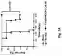 Fig. 05 - Compositions and methods for treating an active infection