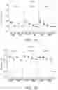 Fig. 02 - RNA BACTERIAL VACCINES