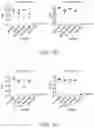 Fig. 10 - RNA BACTERIAL VACCINES