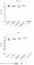 Fig. 11 - RNA BACTERIAL VACCINES