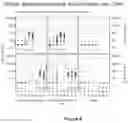 Fig. 10 - Methods and compositions for inducing protective immunity against filovirus infection