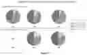 Fig. 13 - Methods and compositions for inducing protective immunity against filovirus infection