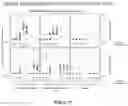 Fig. 14 - Methods and compositions for inducing protective immunity against filovirus infection