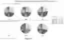 Fig. 16 - Methods and compositions for inducing protective immunity against filovirus infection
