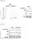 Fig. 04 - PHARMACEUTICAL COMPOSITION PREVENTING OR TREATING AN INFLUENZA VIRAL INFECTIOUS DISEASE