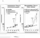 Fig. 02 - Methods for immunizing pre-immune subjects against respiratory syncytial virus (RSV)