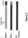 Fig. 03 - Methods for immunizing pre-immune subjects against respiratory syncytial virus (RSV)