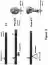 Fig. 04 - Methods for immunizing pre-immune subjects against respiratory syncytial virus (RSV)