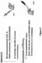 Fig. 05 - Methods for immunizing pre-immune subjects against respiratory syncytial virus (RSV)