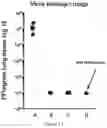 Fig. 16 - Methods for immunizing pre-immune subjects against respiratory syncytial virus (RSV)