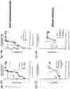 Fig. 18 - Methods for immunizing pre-immune subjects against respiratory syncytial virus (RSV)