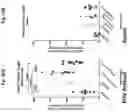 Fig. 21 - Methods for immunizing pre-immune subjects against respiratory syncytial virus (RSV)
