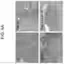 Fig. 10 - Method for treating cancer by administering a toll-like receptor agonist and LAG-3 IgG fusion protein