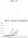 Fig. 21 - Method for treating cancer by administering a toll-like receptor agonist and LAG-3 IgG fusion protein