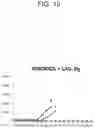 Fig. 23 - Method for treating cancer by administering a toll-like receptor agonist and LAG-3 IgG fusion protein