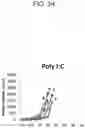 Fig. 28 - Method for treating cancer by administering a toll-like receptor agonist and LAG-3 IgG fusion protein