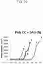Fig. 30 - Method for treating cancer by administering a toll-like receptor agonist and LAG-3 IgG fusion protein