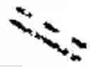 Fig. 05 - MODULATORS OF FAK PROTEOLYSIS AND ASSOCIATED METHODS OF USE