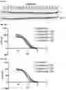 Fig. 07 - MODULATORS OF FAK PROTEOLYSIS AND ASSOCIATED METHODS OF USE