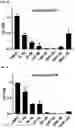 Fig. 12 - MODULATORS OF FAK PROTEOLYSIS AND ASSOCIATED METHODS OF USE