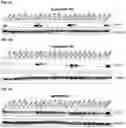 Fig. 15 - MODULATORS OF FAK PROTEOLYSIS AND ASSOCIATED METHODS OF USE