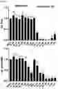 Fig. 18 - MODULATORS OF FAK PROTEOLYSIS AND ASSOCIATED METHODS OF USE