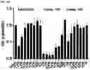 Fig. 24 - MODULATORS OF FAK PROTEOLYSIS AND ASSOCIATED METHODS OF USE