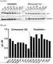 Fig. 29 - MODULATORS OF FAK PROTEOLYSIS AND ASSOCIATED METHODS OF USE