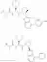 Fig. 41 - MODULATORS OF FAK PROTEOLYSIS AND ASSOCIATED METHODS OF USE