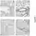 Fig. 02 - Ice-based lipid nanoparticle formulation for delivery of mRNA