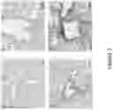 Fig. 03 - Ice-based lipid nanoparticle formulation for delivery of mRNA