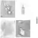 Fig. 07 - Ice-based lipid nanoparticle formulation for delivery of mRNA
