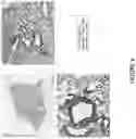 Fig. 09 - Ice-based lipid nanoparticle formulation for delivery of mRNA