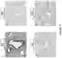 Fig. 10 - Ice-based lipid nanoparticle formulation for delivery of mRNA