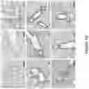 Fig. 11 - Ice-based lipid nanoparticle formulation for delivery of mRNA