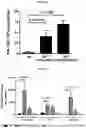 Fig. 02 - Immunogenic compound