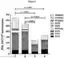 Fig. 05 - Immunogenic compound