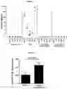 Fig. 06 - Immunogenic compound