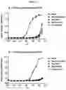 Fig. 07 - Immunogenic compound