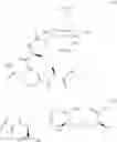 Fig. 17 - Immunogenic compound