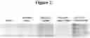 Fig. 03 - Methods for DNA-dependent targeting of a cell permeant antibody
